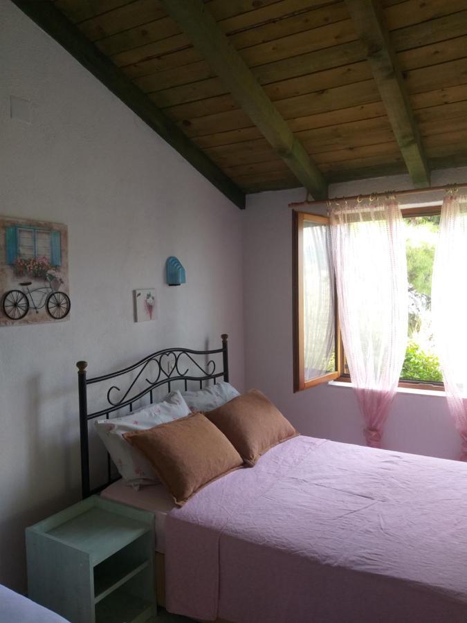 Direkt Na Moru - Bungalov Apartment Šibenik Екстериор снимка