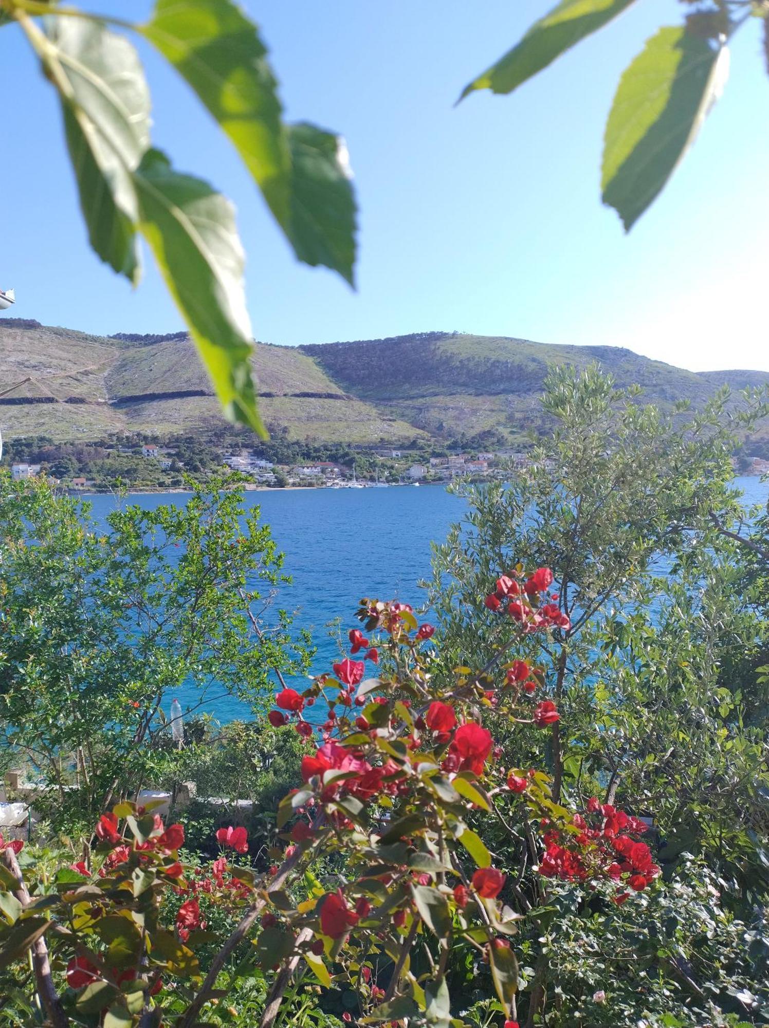 Direkt Na Moru - Bungalov Apartment Šibenik Екстериор снимка